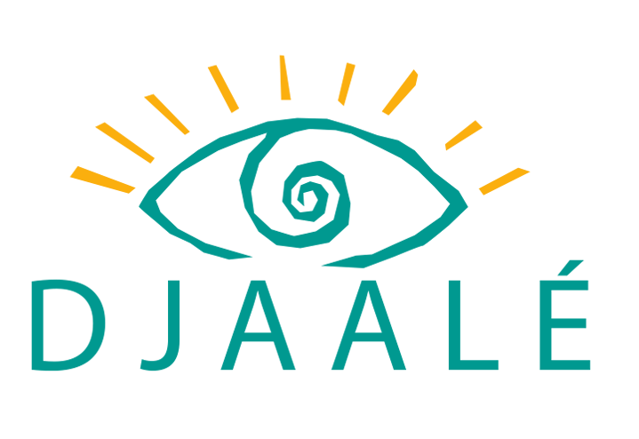 Djaale – Une plate-forme pour découvrir l’Afrique autrement