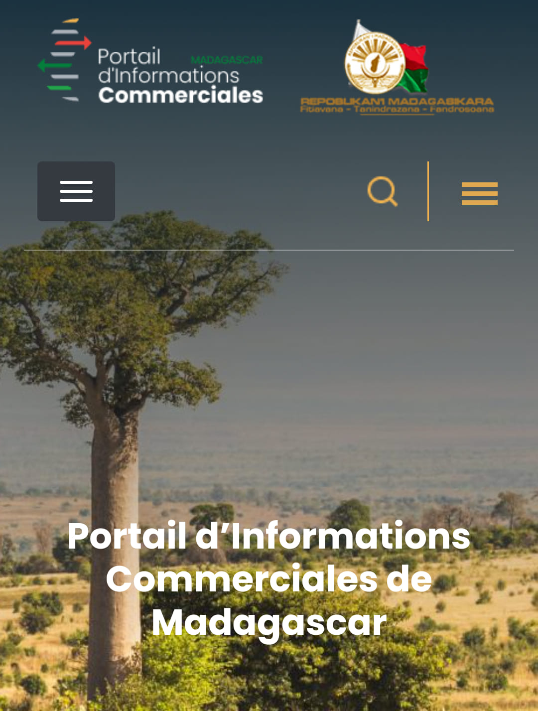 Portail d’Informations Commerciales de Madagascar PICM — L’outil digital pour booster le commerce