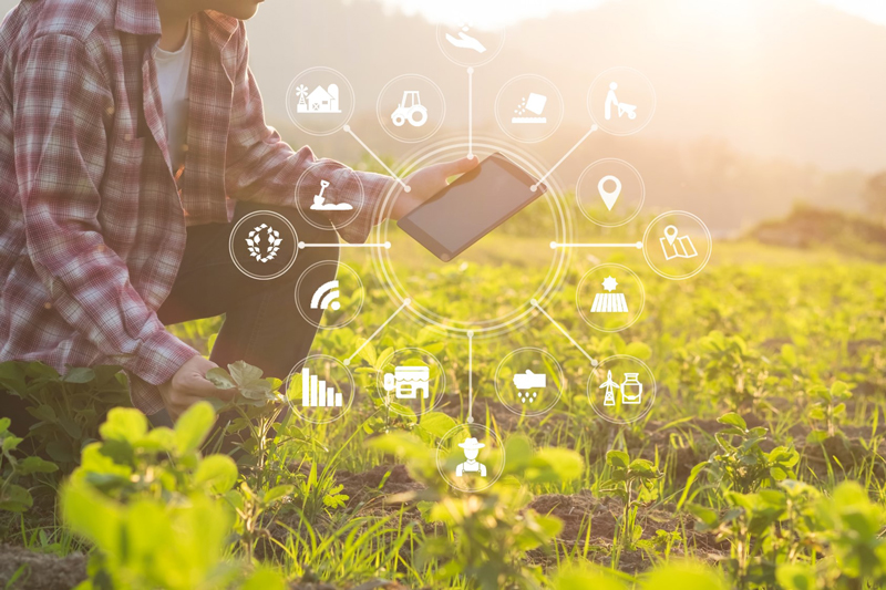 Le MINAE, le MNDPT et l’Agritech Mada, ensemble pour accélérer la transformation digitale du secteur agricole